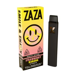 GRAPE DISPOSABLE VAPE